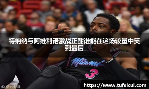 特纳纳与阿维利诺激战正酣谁能在这场较量中笑到最后